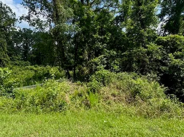 0 Bluebird Trl, Saint George, SC 29477