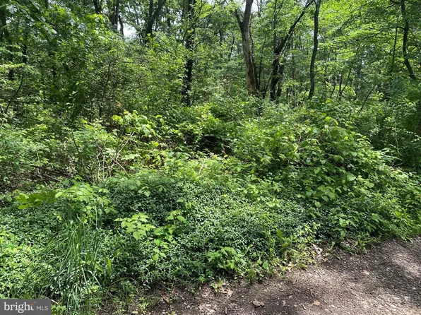 Oakwood, Cumberland, MD 21502