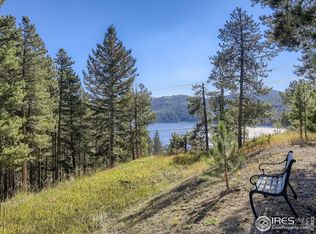 358 Switzerland Trl, Nederland, CO 80466