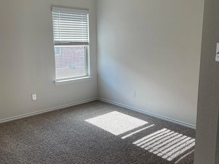 909 Basswood Ln — Photo 9