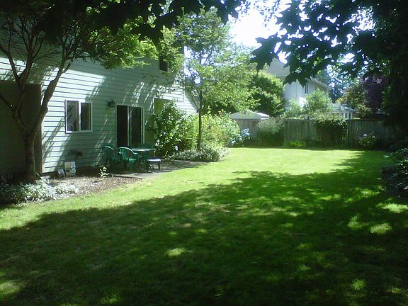 Quiet Back Yard
