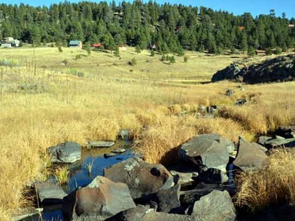 3rd image of Black Lake Ter