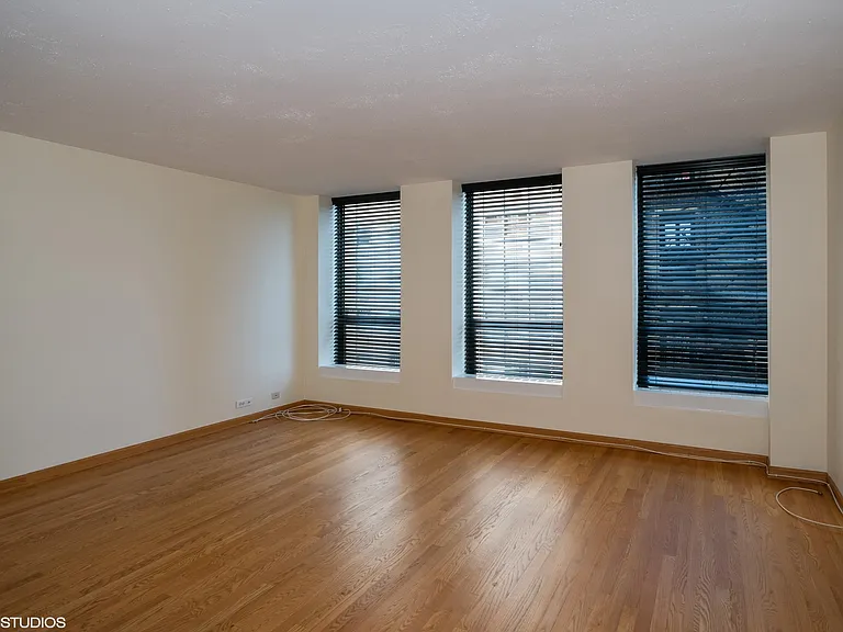 260 E Chestnut St #906 — Photo 3