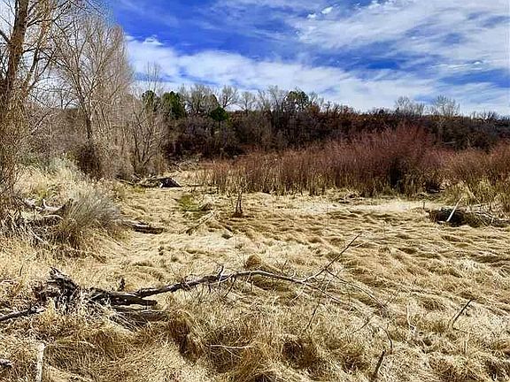 5th image of 3327 County Road 101