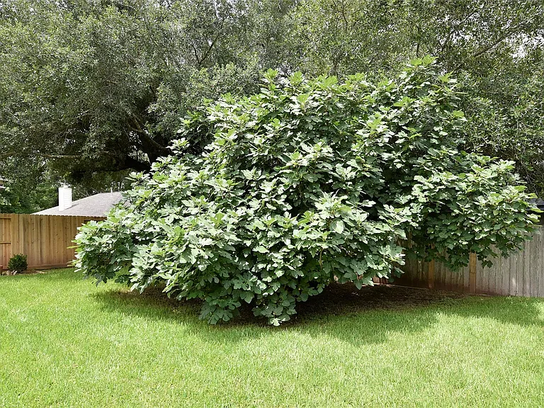 3522 Pecan Point Dr — Photo 20