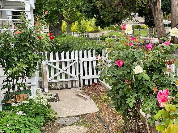 Beautiful rose garden in the back yard accessed by the side gate.