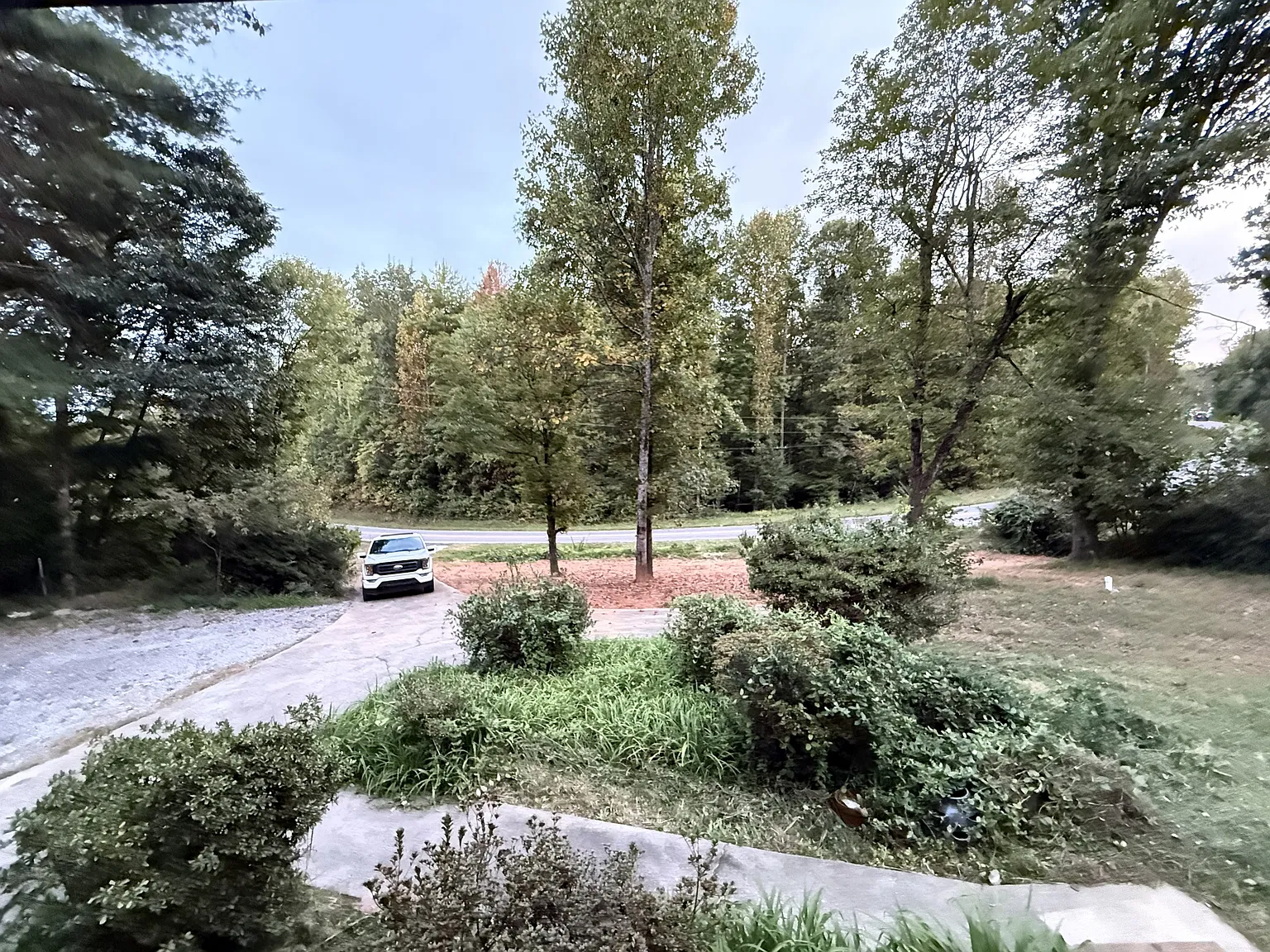 2 bed, 981 sqft, $1,850 — Photo 3