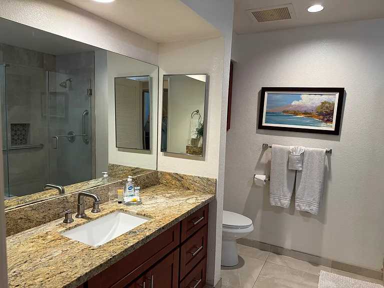 155 Wailea Ike Pl — Photo 7