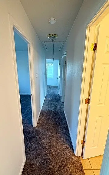 3201 Donald Ave — Photo 6