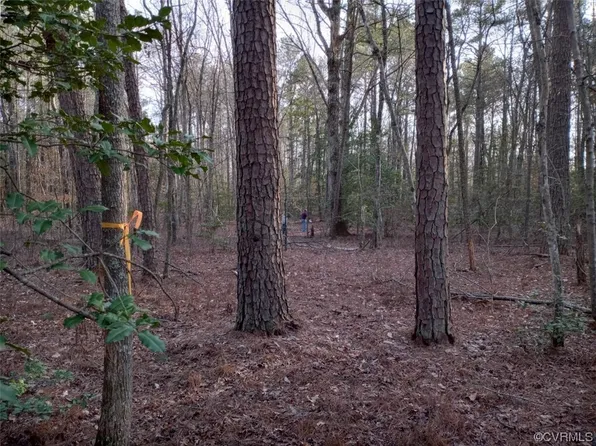 9633 E Quaker Rd, Disputanta, VA 23842