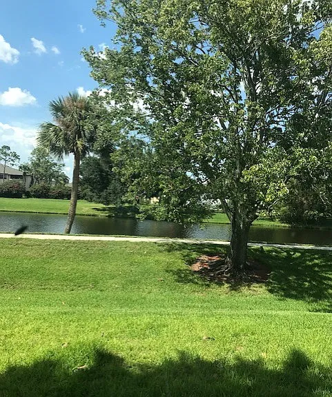 2570 Shadybranch Dr — Photo 1