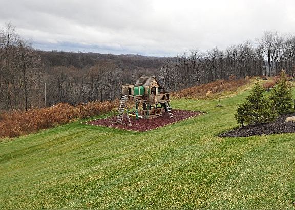 Back Yard and Play Set