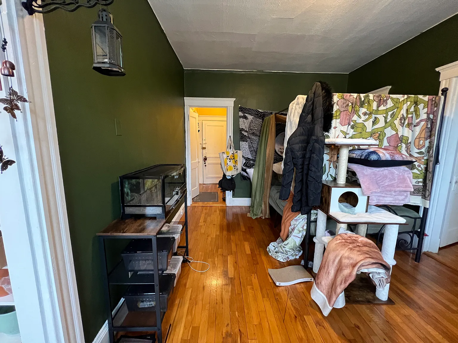 234 Kelton St — Photo 2