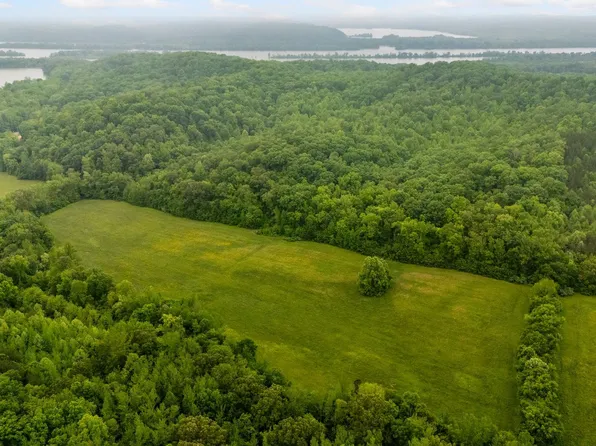 230 Roberts Creek Rd, Waverly, TN 37185