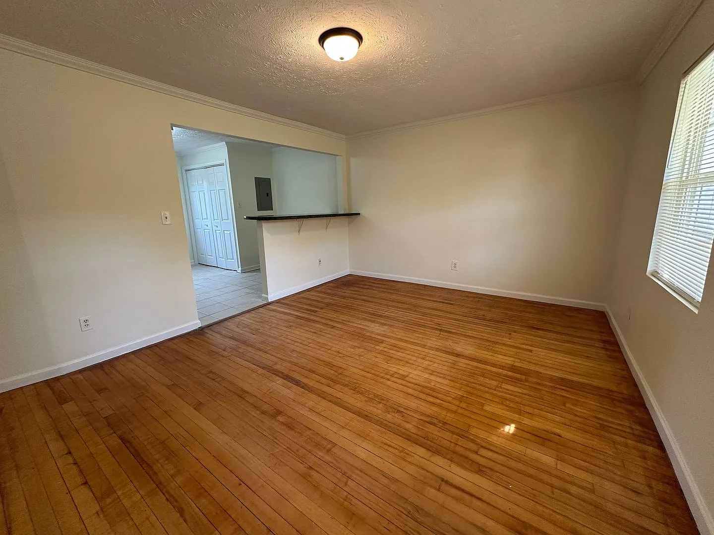 Stunning Original Hardwoods & Seamless Single-Level Living in Oak Ridge! — Photo 4