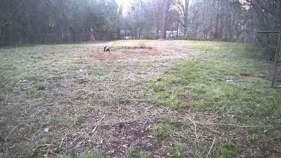 2nd image of 2820 Tara Rd