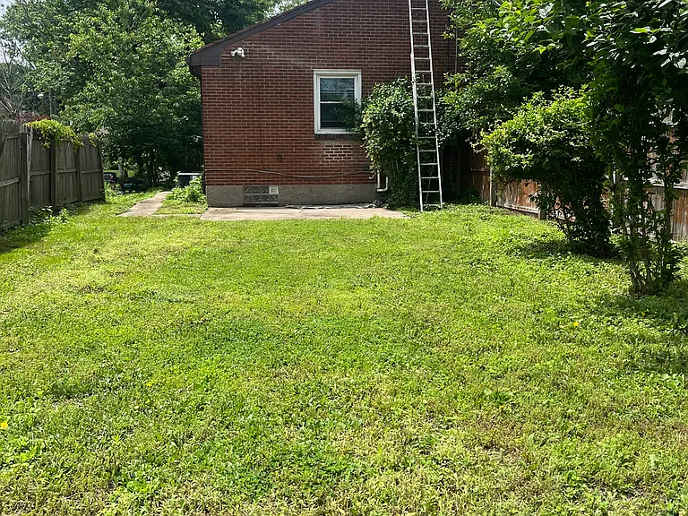 Large, open back yard (27' x 52'). (Ladder not included. ;-) )