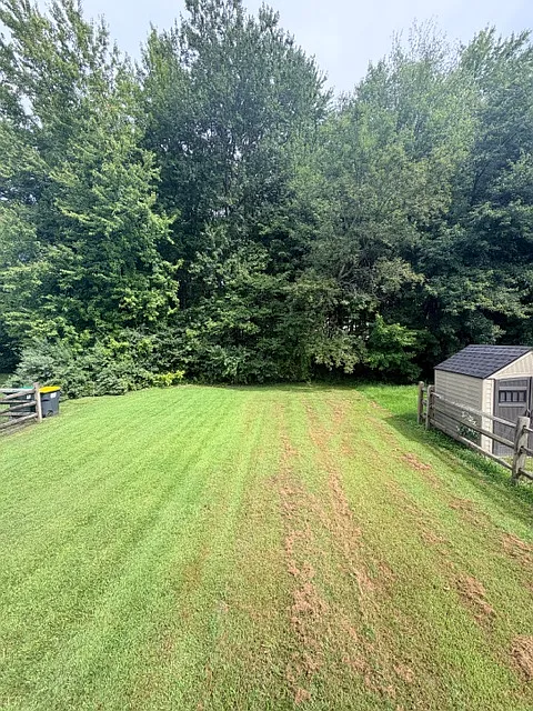 Chong - 311 South Bridlewood Drive - 1 — Photo 4