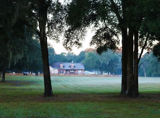 14200 S Hwy 475, Summerfield, FL 34491