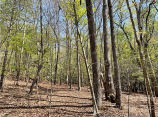 TBD Ugugu Dr, Brevard, NC 28712