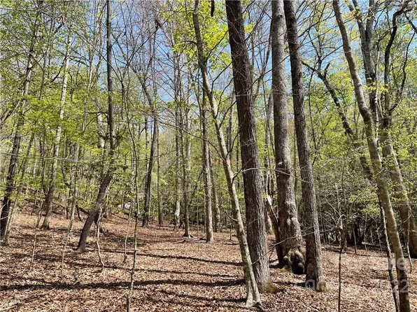 TBD Ugugu Dr, Brevard, NC 28712