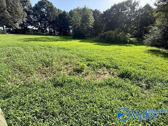 4th image of LOT 1 County Road 547
