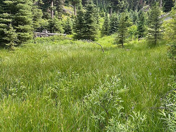 4th image of 1 National Forest Rd #227