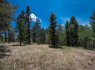 381 Black Bear Dr, Divide, CO 80814