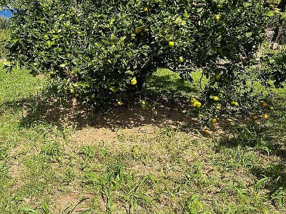4th image of 35-2088 Old Mamalahoa Hwy