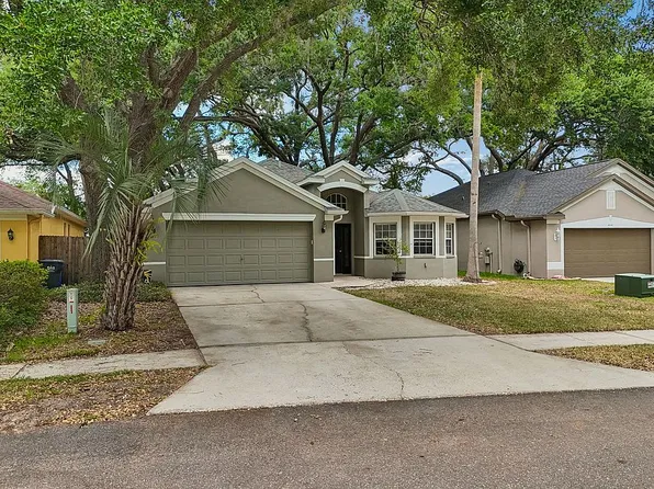 4643 Dunnie Dr, Tampa, FL 33614