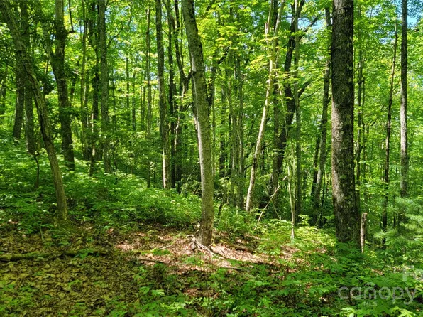 55 Dorothy Dr, Brevard, NC 28712