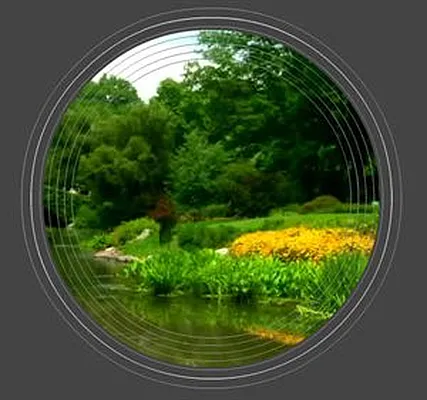 Rented by Douglas Elliman | media 18