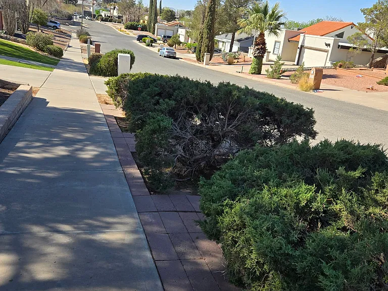 616 El Gusto Dr — Photo 4