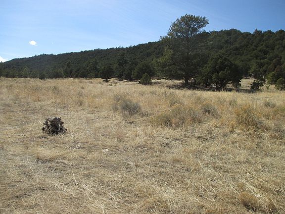 4th image of 10295 County Road 271