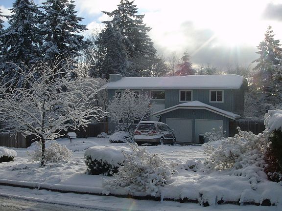 Winter shot