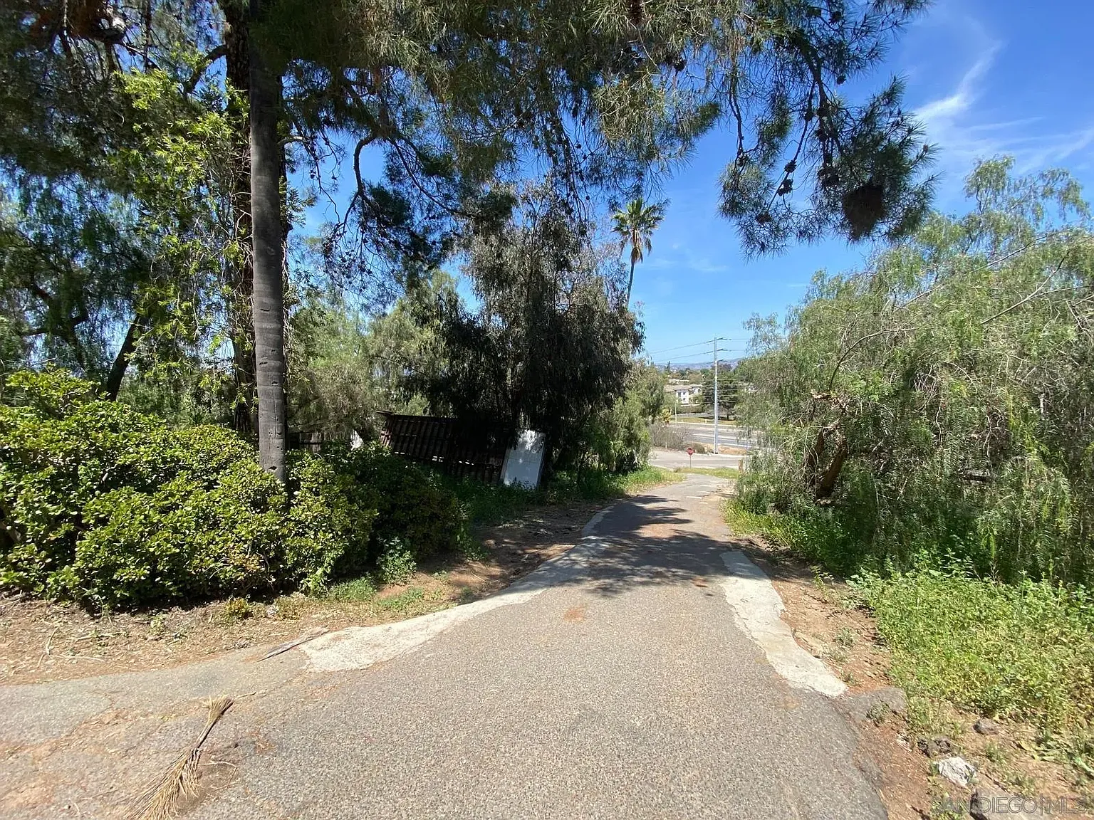 Felecita Park — Photo 3