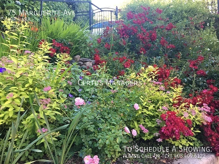 75 Marguerite Ave — Photo 49