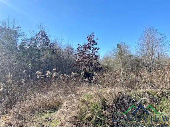 Private Road 3150, Gilmer, TX 75644