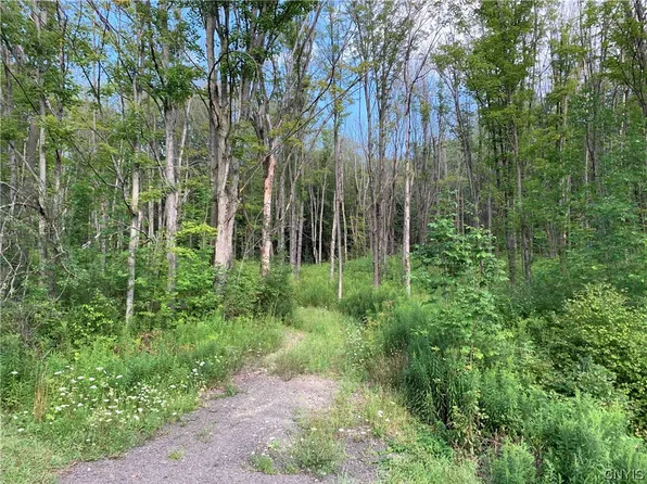 0 County Road 49, Rushford, NY 14777