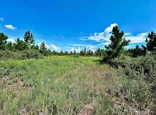 11 Rock Crusher Rd, Crawfordville, FL 32327