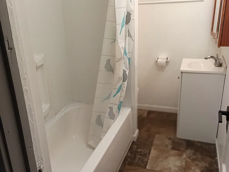 48 Mineral Springs Rd #1 — Photo 6