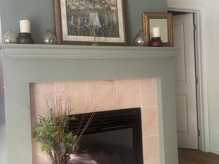 Gas fireplace