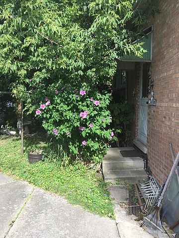 2nd image of 3918 117th St