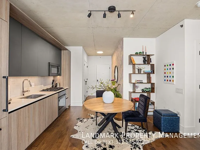 234 W Polk St #2508 — Photo 5