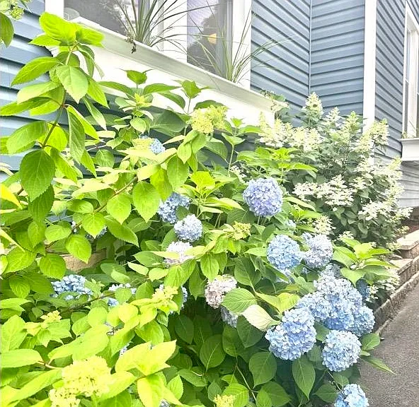20 Colonial Rd — Photo 31