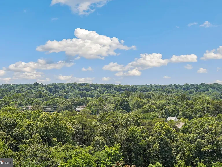 5901 Mount Eagle Dr #1517 — Photo 9