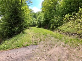 Finkle Rd, Andes, NY 13731