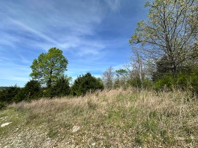 Lot 25 Hanging Branch Ridge Road, Cape Fair, MO, 65624