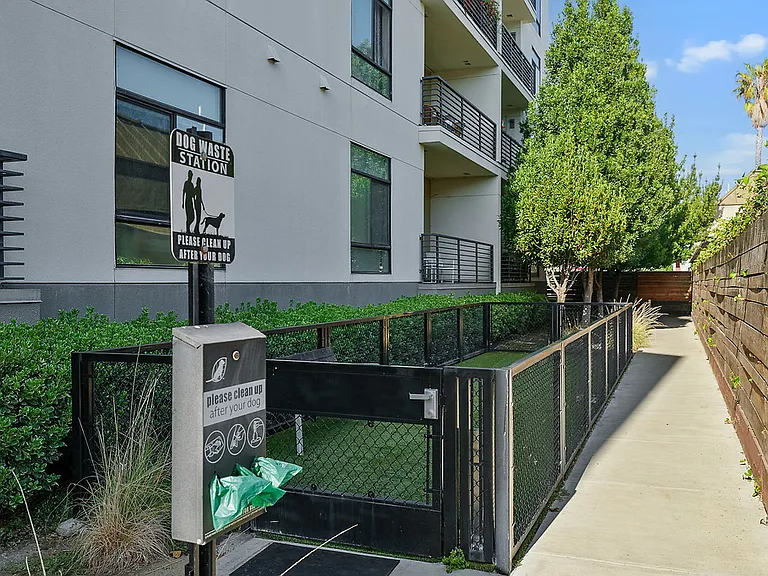 Revere Campbell — Photo 49