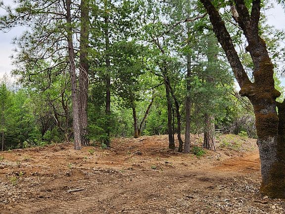 5th image of 18148 Greenhorn Rd